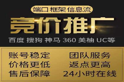 百度竞价代理的客户案例：如何实现ROI最大化